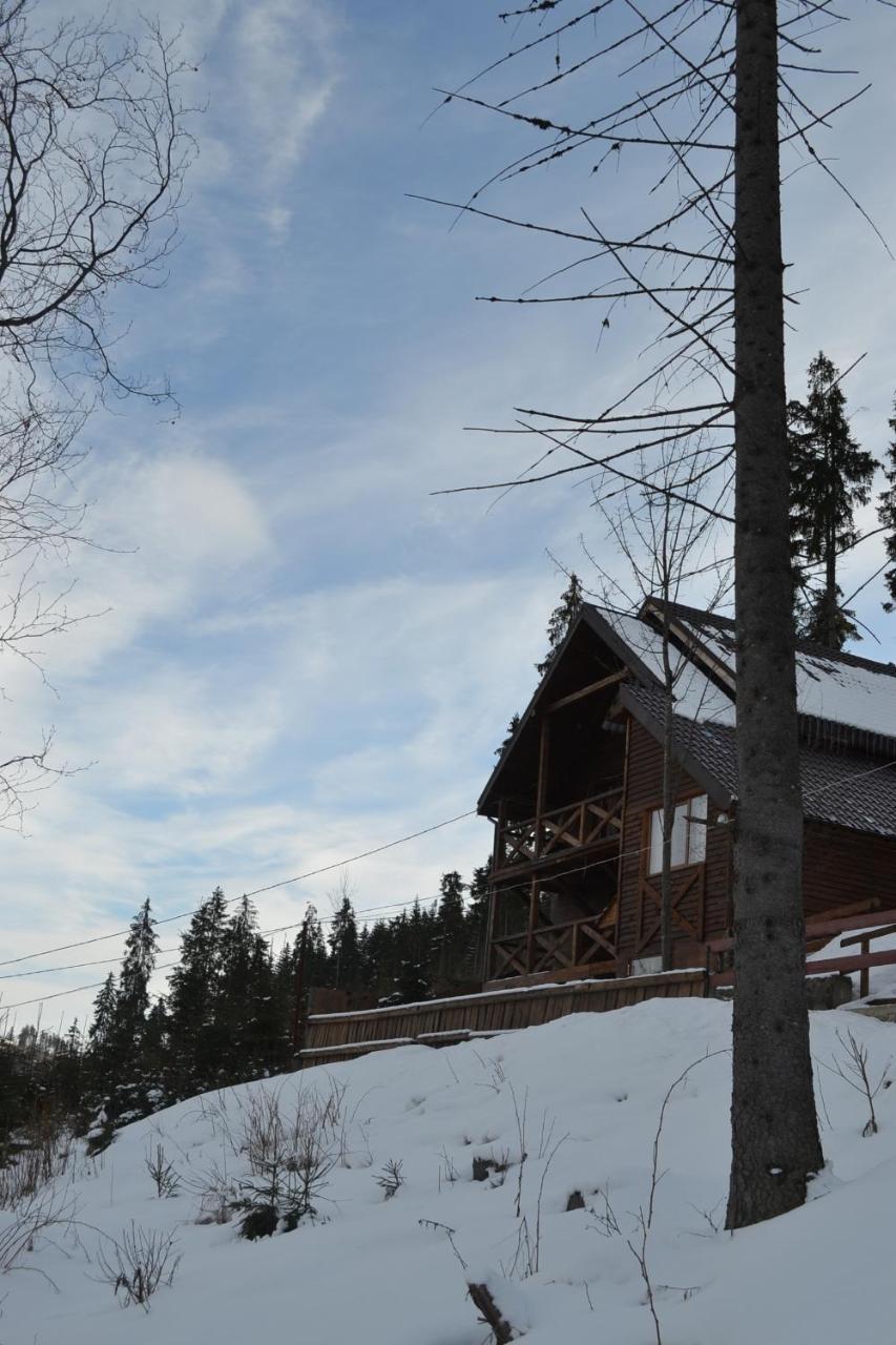 Chalet Shepit Karpat Bukovel Extérieur photo