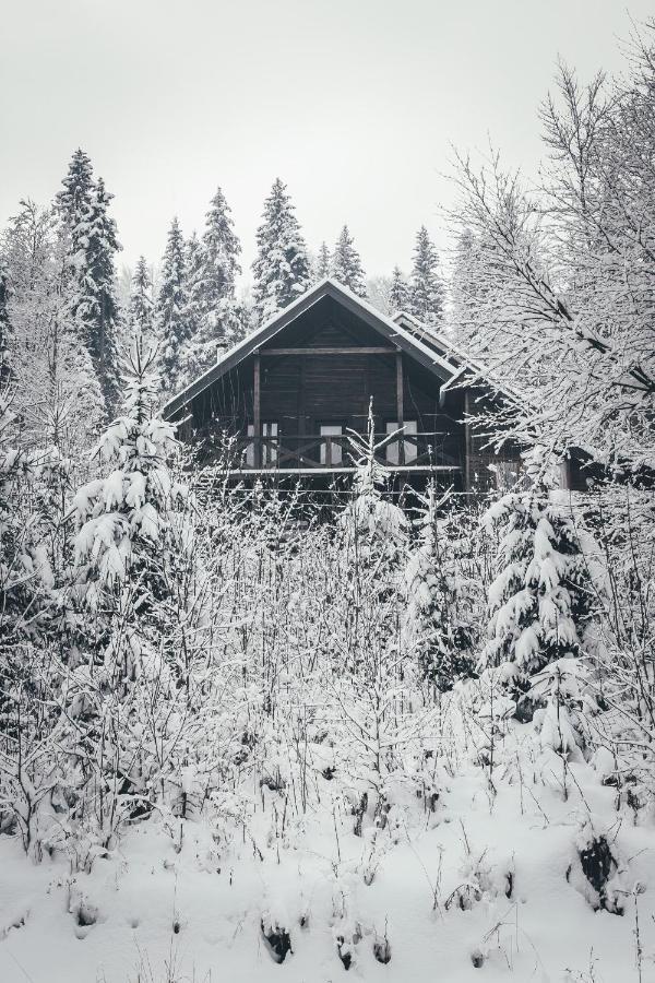 Chalet Shepit Karpat Bukovel Extérieur photo